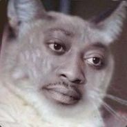 Ankari00N1.-CryyN00b