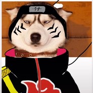 球场恶霸蔡徐坤