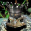 Supreme Frog Tyrant