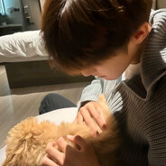 愿我如星，君如月