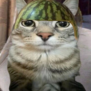 Water melon cat