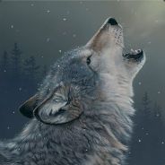 Lupus - steam id 76561197962686375