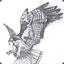 Hawk