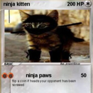 NinjaKitten16