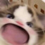 。