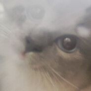 别他妈盗我号了