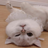 啾名山的皮皮shirly