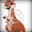 Khangaroo