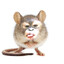mousemonkey