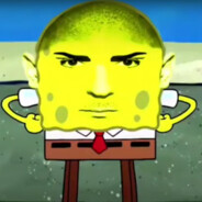 Haftbob Schwammbefehl