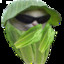 Lettuce