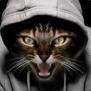 anonycat    h a c k e r