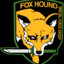 FOXHOUND S.F.G