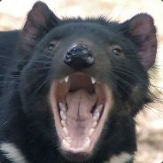 TazzY2k - steam id 76561197961187860