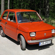 jąderko