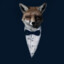 Mr Fox