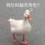 快乐星球q