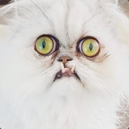 mersito - steam id 76561197971771487