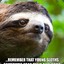 Sloth