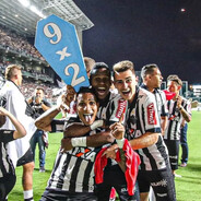 galo doido