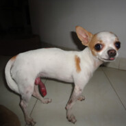 ЭЭЭ Я ТВОЮ МАМУ НЕ