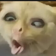 重庆市WC战队第一白给位