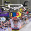 Van Der Poel