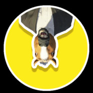 edow568瘋水釋迦摸你佛