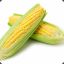 Corn