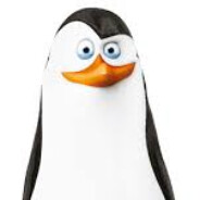 Kowalski - steam id 76561199242307746