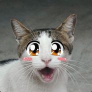 Fred - g0 - steam id 76561197964459447