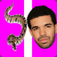 Snake Or Drake?