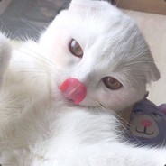 1876036911
