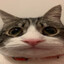 siaraa