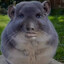 THEslimysquash
