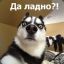 Помидорчик