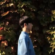 很多女粉丝的人