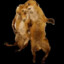 raposa alcolatra
