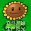 为什么这样子