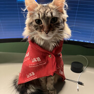 Madison avatar