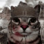 soldier cat
