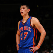 你猪一样的队友丶