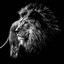 the lion
