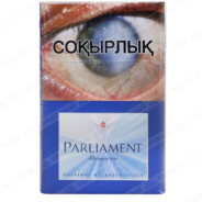 PARLAMENT