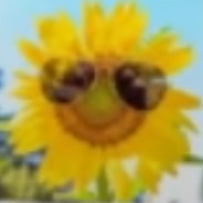 ♥ SLONECZNIKOWY ♥