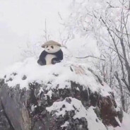 WhatAreYouDoing