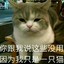 猪头猎杀者