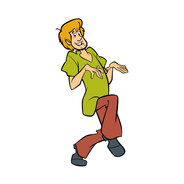 Shaggy