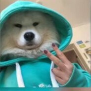 Big Avatar