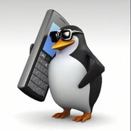 正在联系月跑小姐